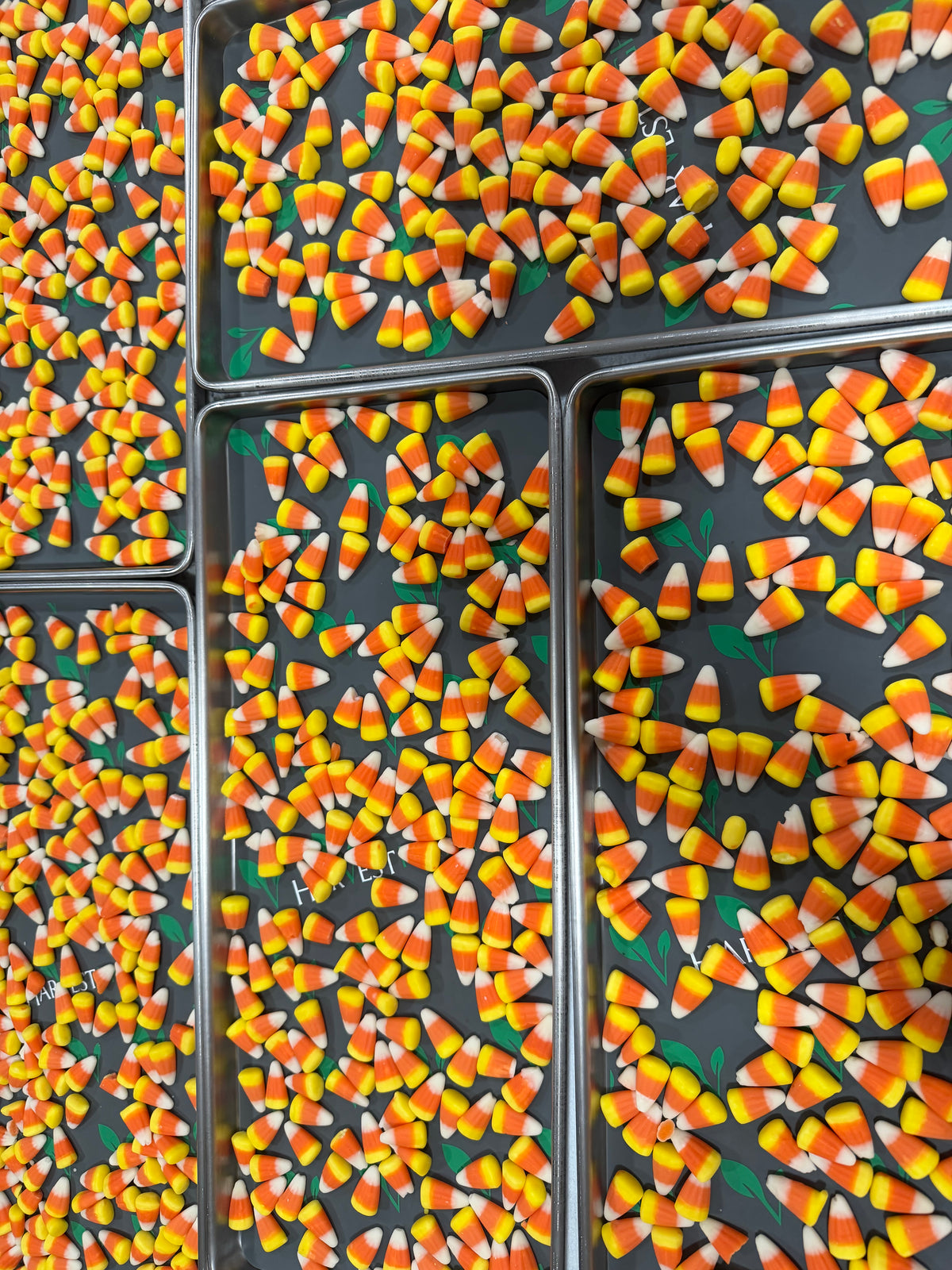Freeze Dried Candy Corn